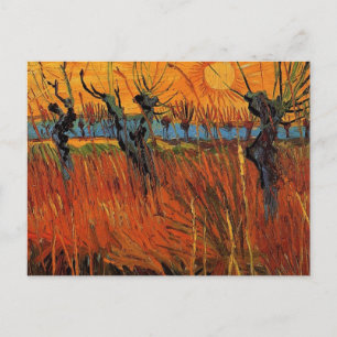 Willows at Sunset by Vincent van Gogh Postcard