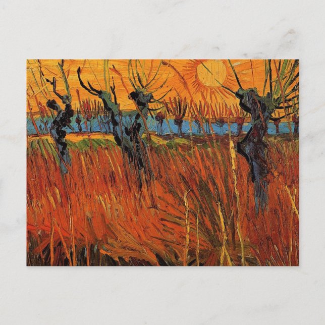 Willows at Sunset by Vincent van Gogh Postcard (Front)