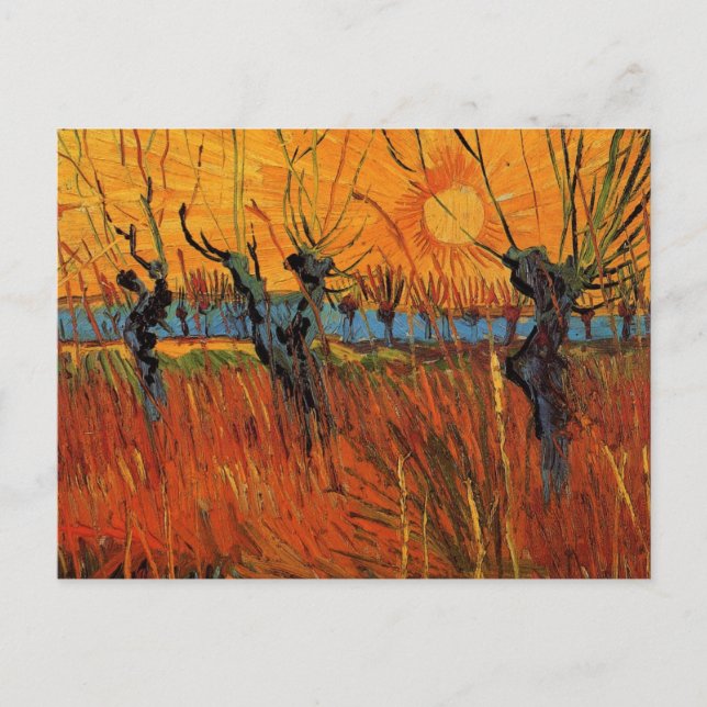 Willows at Sunset by Vincent van Gogh Postcard (Front)