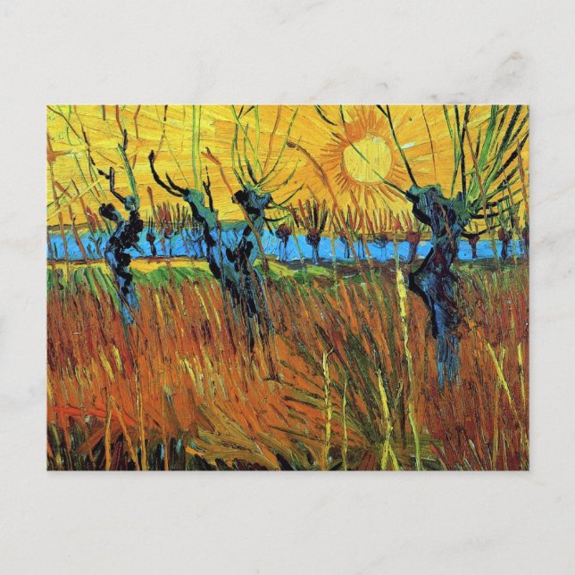 Willows at Sunset (F572) Van Gogh Fine Art Postcard (Front)