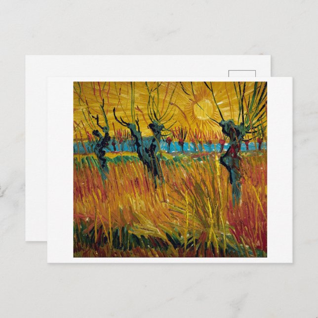 Willows at Sunset | Van Gogh | Postcard (Front/Back)