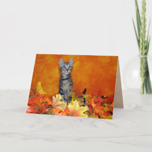 Willow's Autumn Greeting Cat / Kitten Card