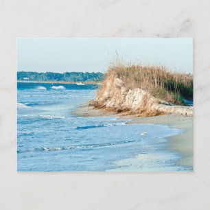 Wilmington NC Postcard