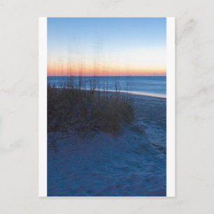 Wilmington NC Postcard