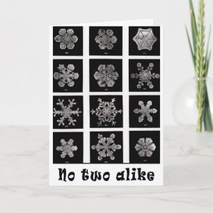 Wilson Bentley's Snowflakes, 1902 Holiday Card