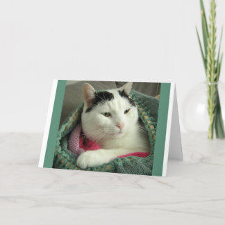 WiLSON - Body Sock Greeting Card