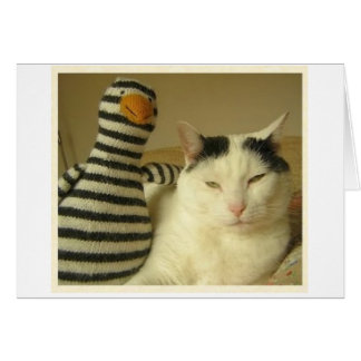 WILSoN & Pengy #1
