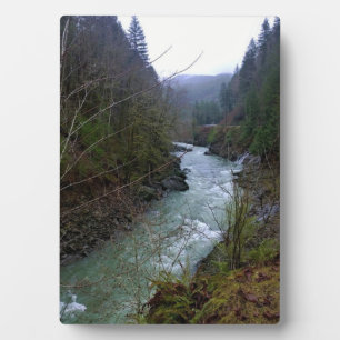 Wilson River, OR Plaque