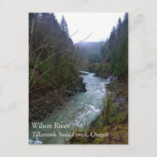 Wilson River, OR Postcard