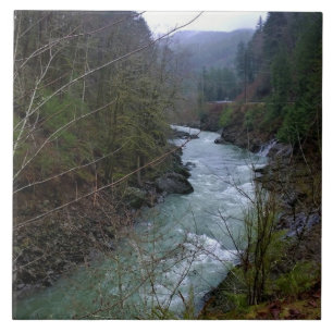Wilson River, OR Tile