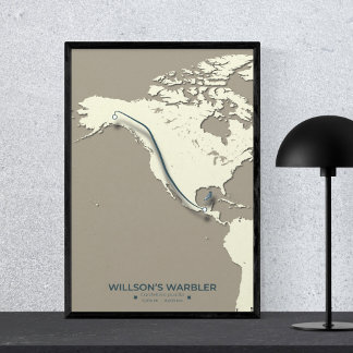 Wilson’s Warbler Migration Map – Minimalist Poster