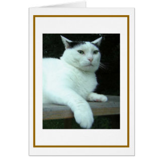 WiLSoN Second Thought Card