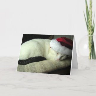 WiLSoN SOLSTiCE Greeting Card