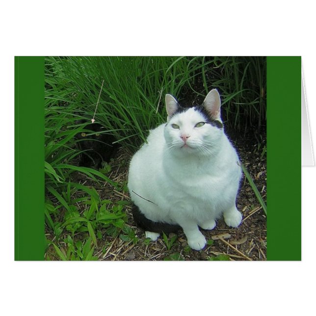 WiLSoN & UFO Sighting (Front Horizontal)