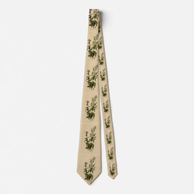 Wilson's Warbler from Audubon's Birds of America Tie (Front)