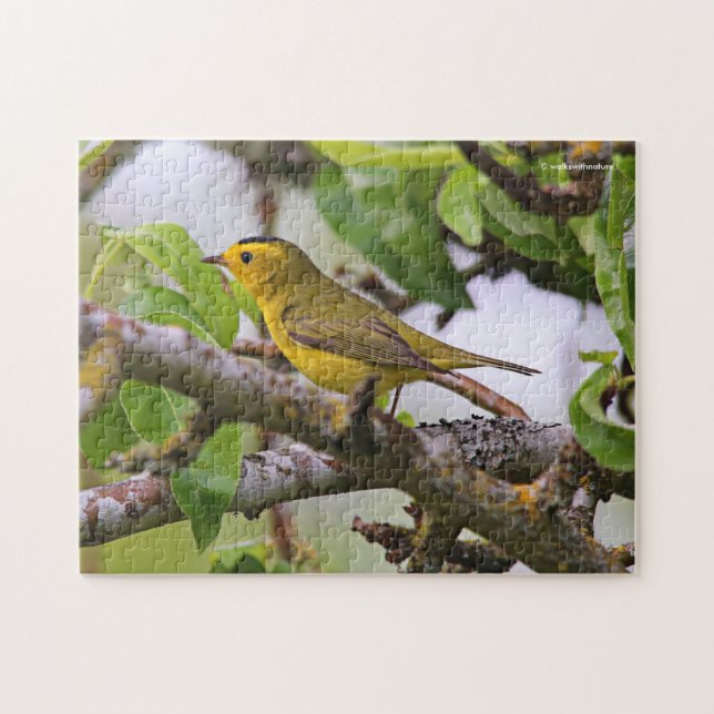 Wilson's Warbler in the Pear Tree Jigsaw Puzzle (Horizontal)