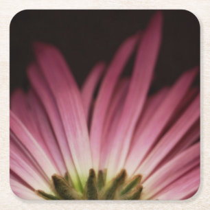 Wilted Purple Daisy Square Paper Coaster