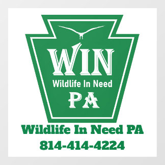 WIN Logo Window Cling-White background