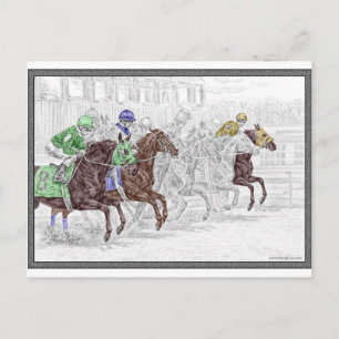 Win Place Show Race Horses Postcard