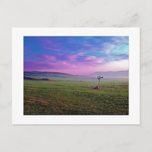 " Winchester Windmill " Postcard