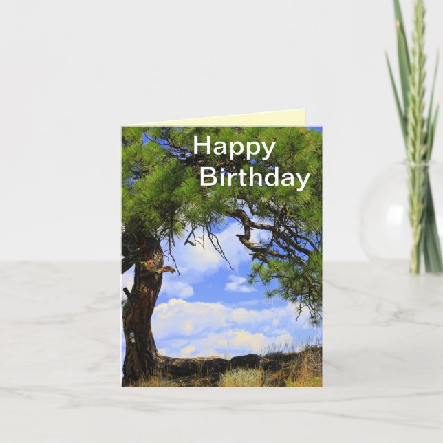 Wind Blown - Happy Birthday Card (Front)