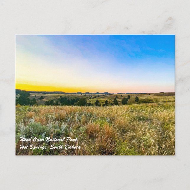 Wind Cave National Park Postcard (Front)