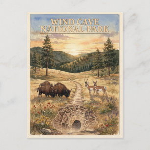 Wind Cave National Park Vintage Travel Postcard