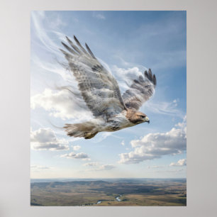 Wind Hawk Open Horizon Poster