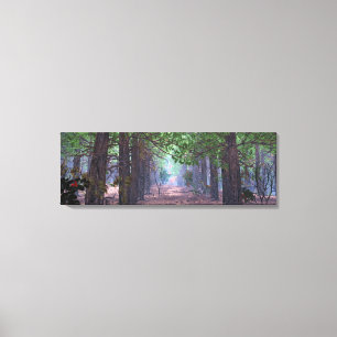 Wind in the Pines Canvas Print