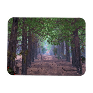 Wind in the Pines Flexible Magnet