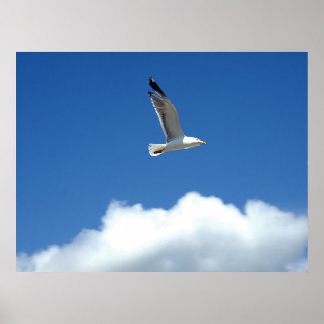 Wind Master Print (Front)