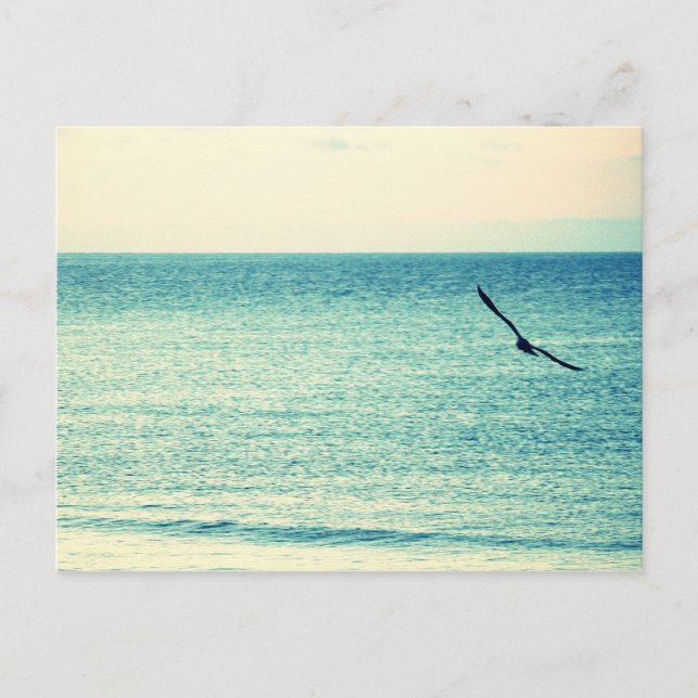 Wind Masters Postcard (Front)