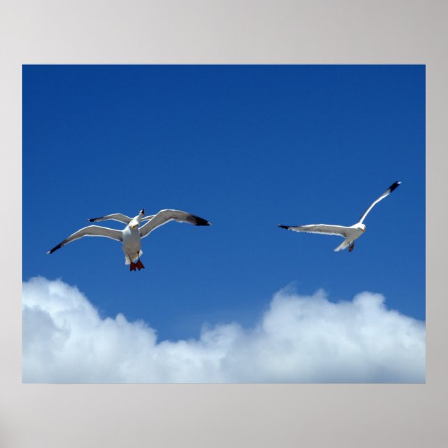 Wind Masters Print (Front)