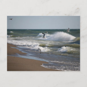 Wind Postcard