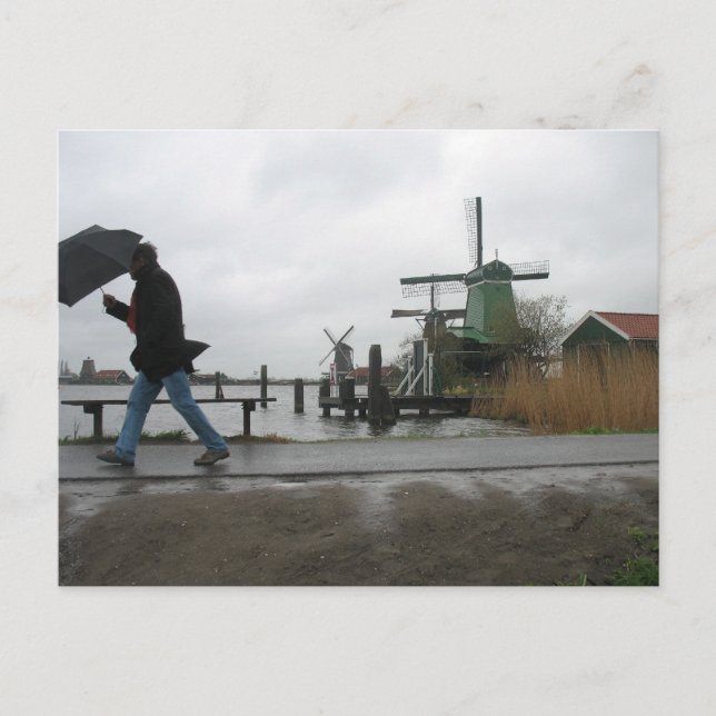 Wind & Rain at Zaanse Schans Windmills Postcard (Front)
