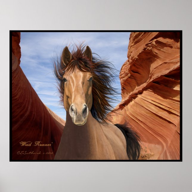 "Wind Runner", Wild Stallion Poster Print (Front)