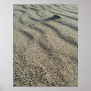 Wind shapes sand ripples, around smooth pebbles poster