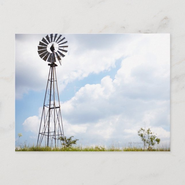 Wind Turbine in field Postcard (Front)