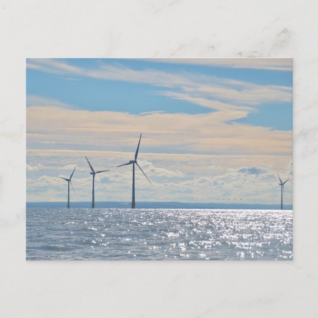 Wind Turbines Postcard (Front)