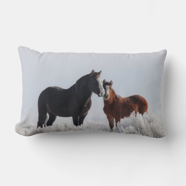 Wind Walker/Sky Dancer Pillow (Front)