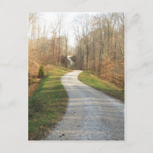 Winding Country Road Postcard