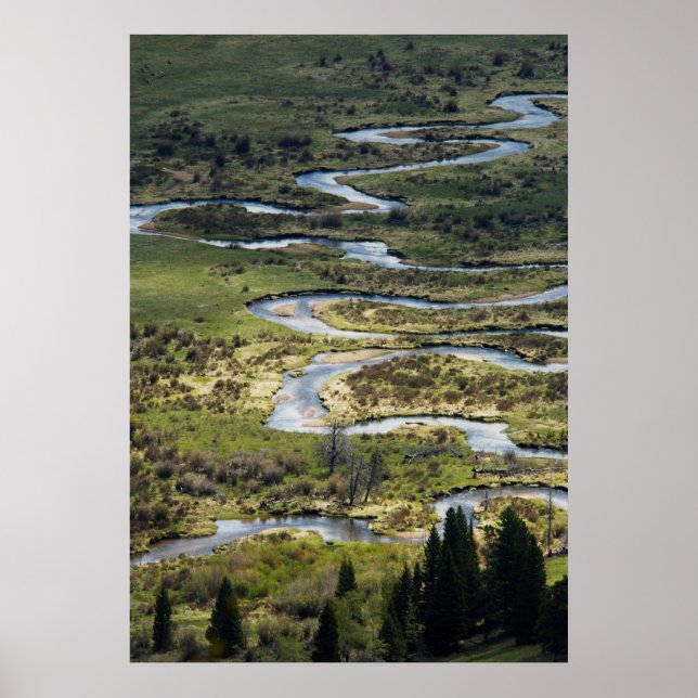 winding river in rmnp poster (Front)