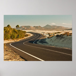 Winding Road in Desert Poster