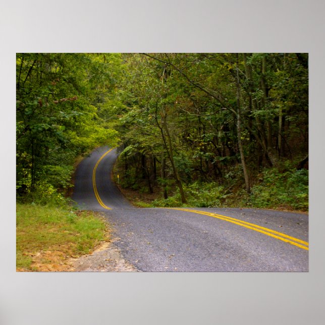 Winding Road Poster (Front)
