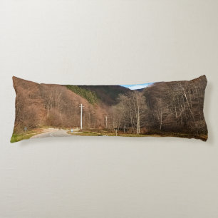 Winding Road Through Forest – Wild Nature Romania Body Cushion
