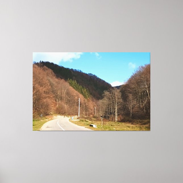 Winding Road Through Forest – Wild Nature Romania Canvas Print (Front)