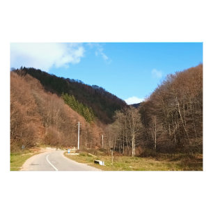 Winding Road Through Forest – Wild Nature Romania Photo Print