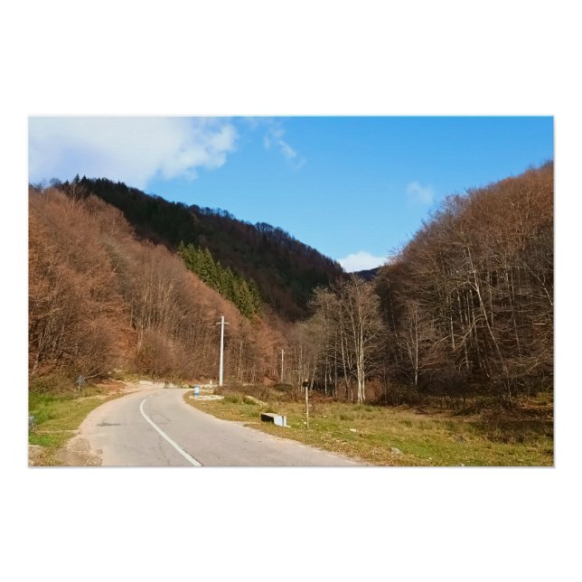 Winding Road Through Forest – Wild Nature Romania Poster (Front)