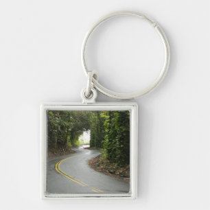 Winding roads through rainforest, Island of Key Ring