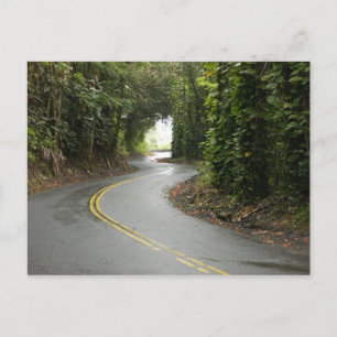 Winding roads through rainforest, Island of Postcard